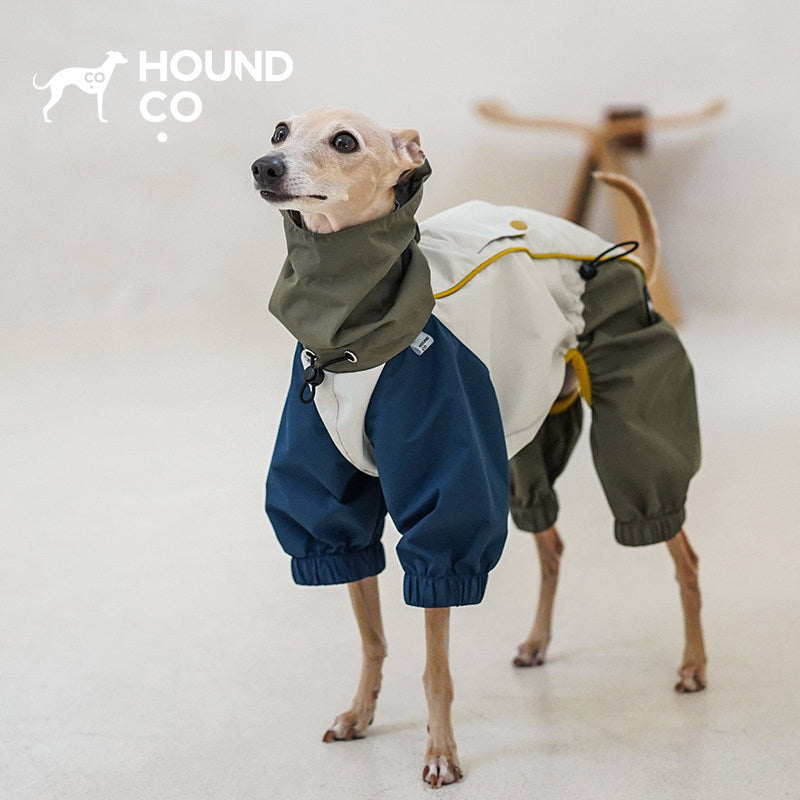 Italian Greyhound wearing Hound Co. Barrier Raincoat in Acadia