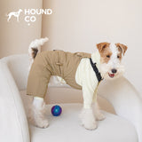 Italian Greyhound wearing Hound Co. Bib Overalls in Khaki