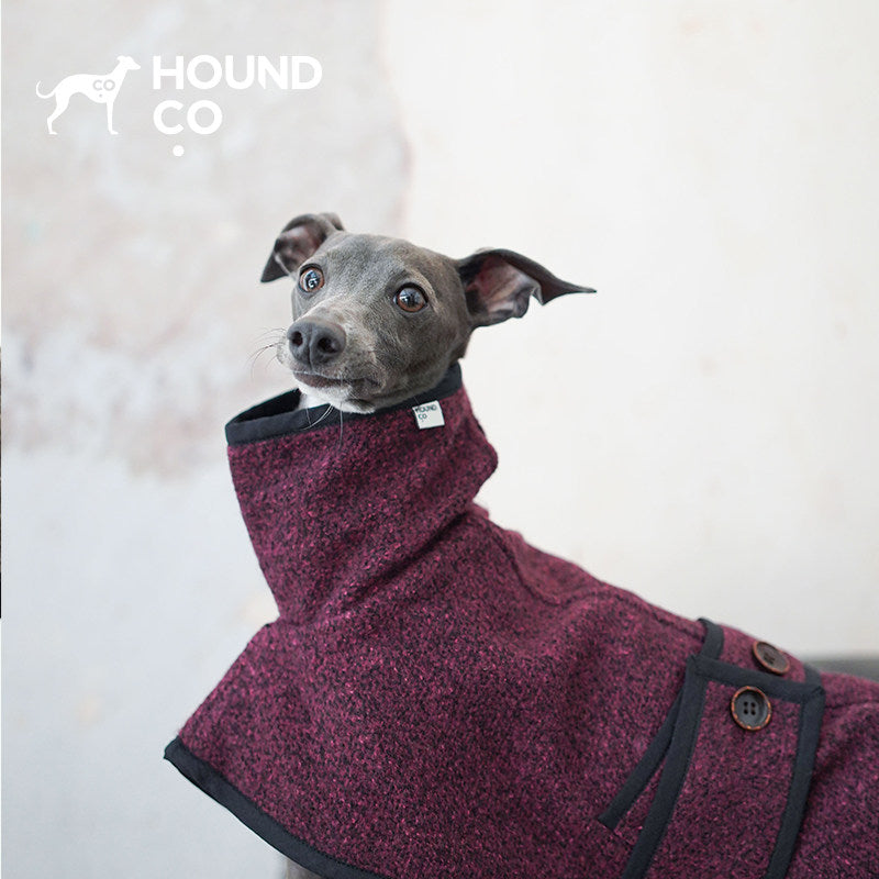 Italian Greyhound wearing Hound Co. City Wool Coat in Mulberry Marl