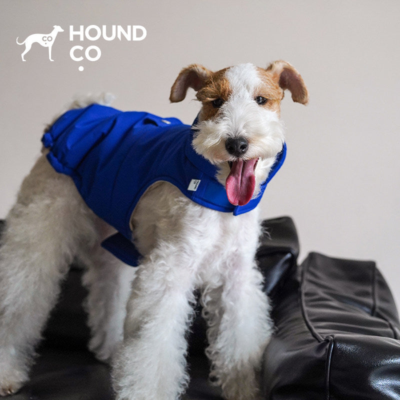 Hound Co. Easy-On Puffer Jacket in Electric Blue for dogs