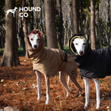 Italian Greyhound wearing Hound Co. Insulated Waterproof Coat in Midnight Black