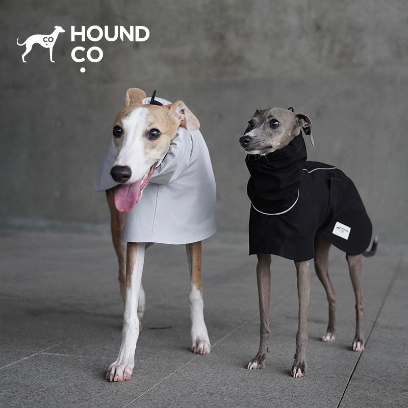 Sighthound Rainlight | Waterproof Sighthound Raincoat
