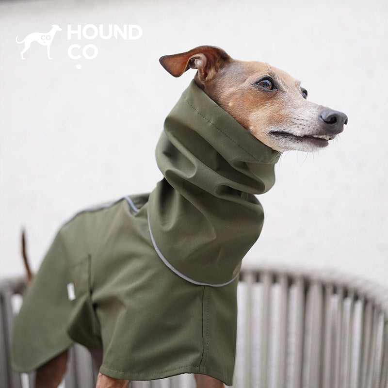 Hound Co. Lightweight Raincoat in Moss Green for dogs