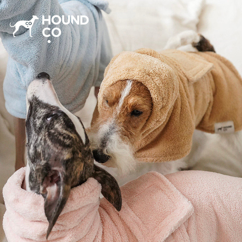 Italian Greyhound wearing Hound Co. Plush Quick-Dry Bath Robe in Piggy Pink