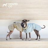 Italian Greyhound wearing Hound Co. Waxed Trench Coat in Vintage Brown