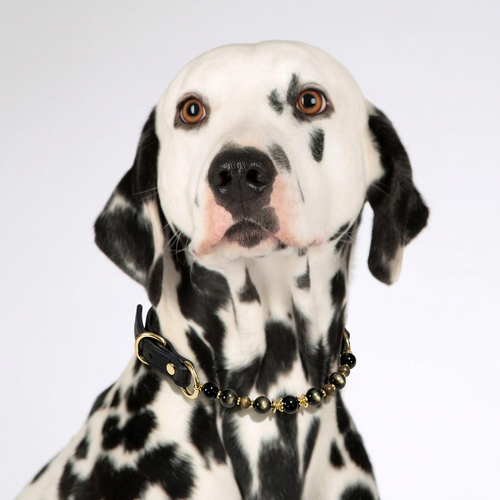 Black Obsidian Collar