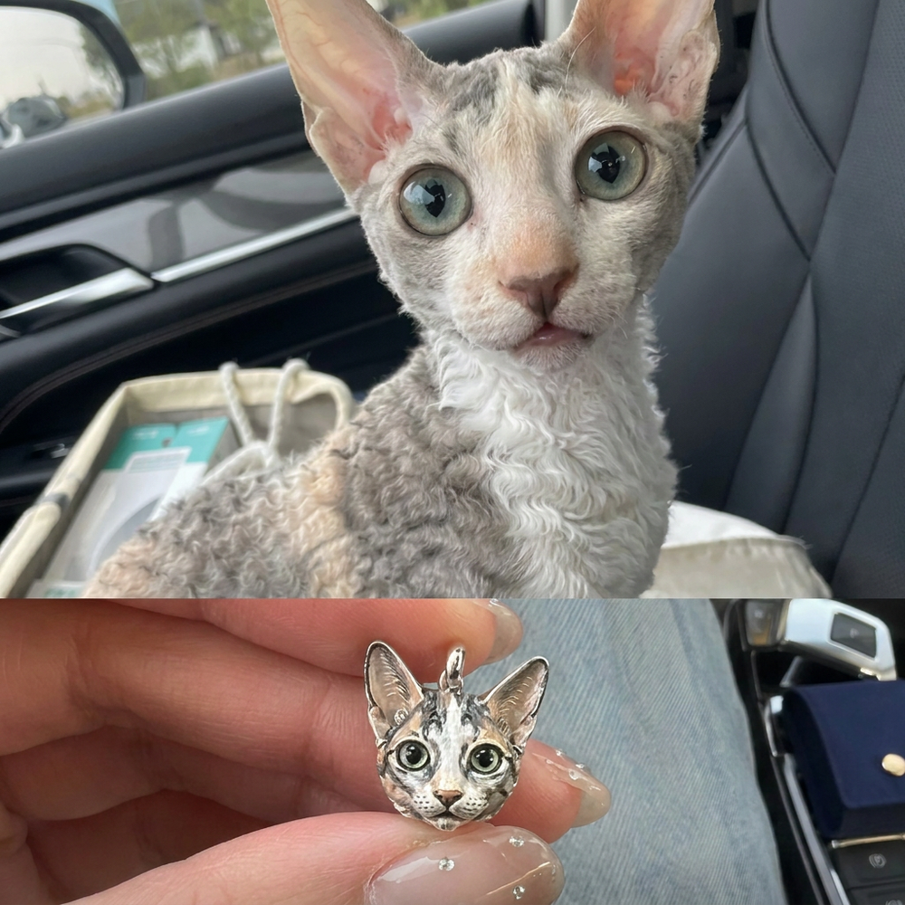 Large-eared cat beside a custom handcrafted 925 sterling silver pet portrait charm.