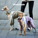 Island Silk Waterproof Dog Raincoat, product photo