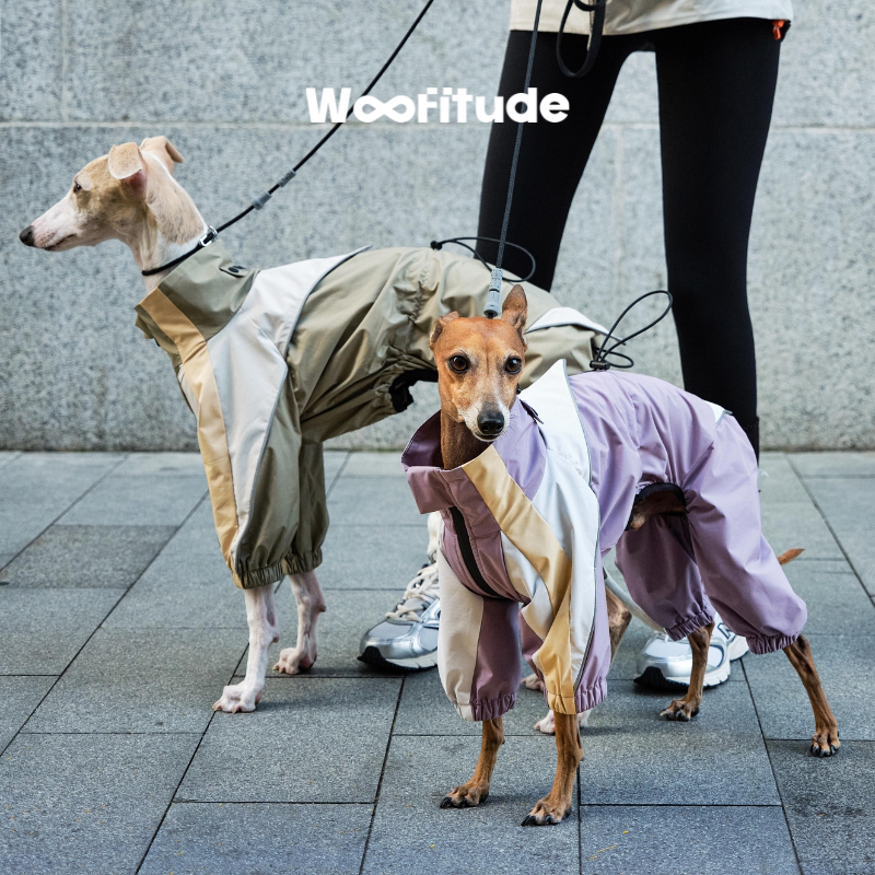 Island Silk Waterproof Dog Raincoat, product photo