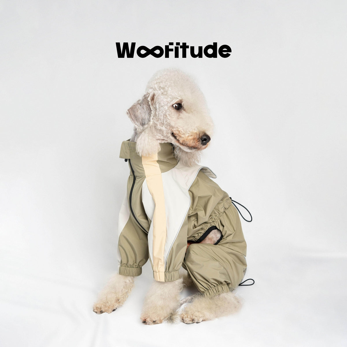 Island Silk Waterproof Dog Raincoat, Mud Gray-Green color