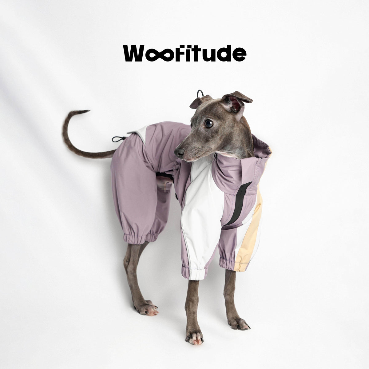 Island Silk Waterproof Dog Raincoat, Mist Gray-Purple color