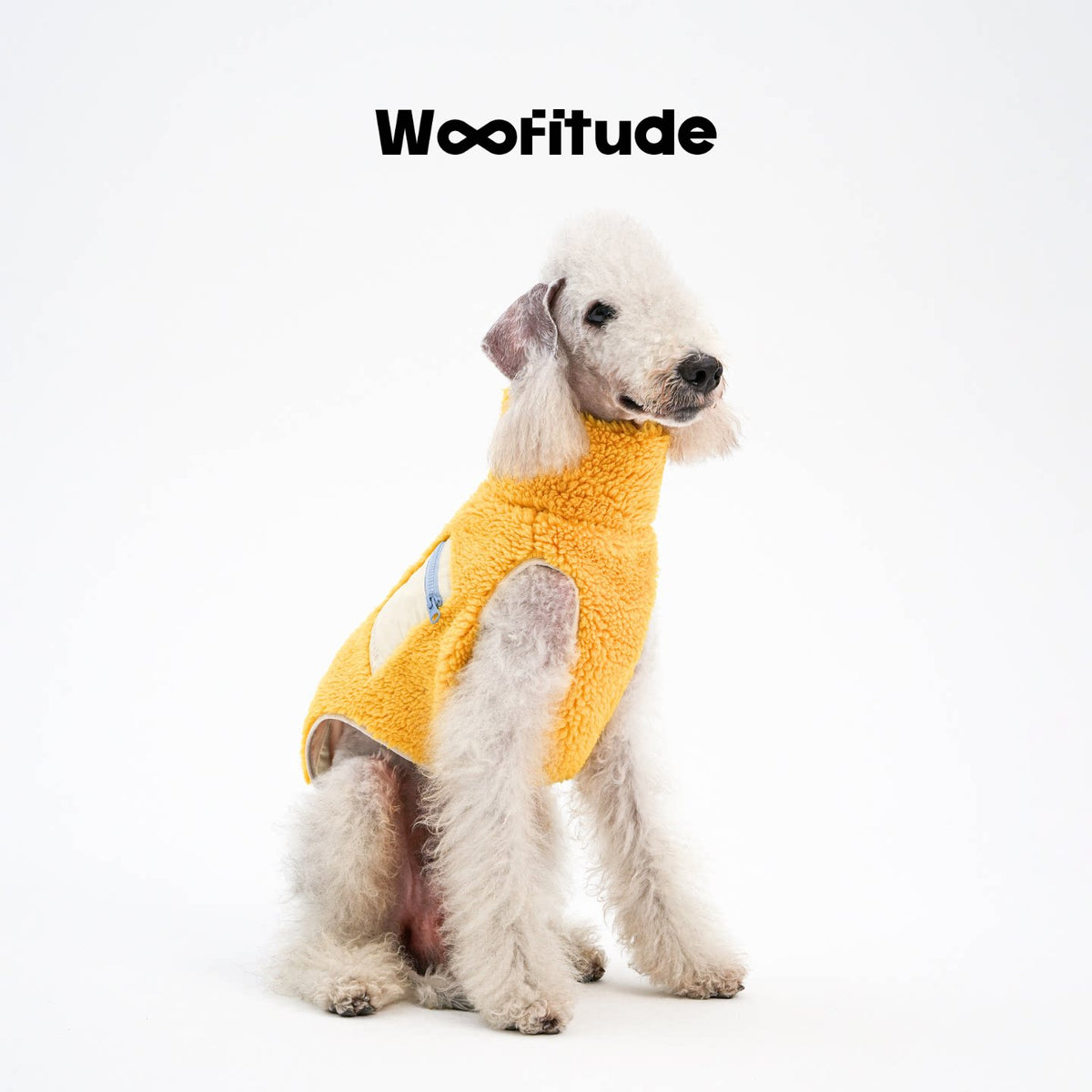 Lambswool-Contrast Dog Vest, Vivid Yellow color