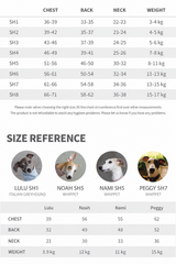 English sizing chart for the City Heritage Tweed Wool Sighthound Coat