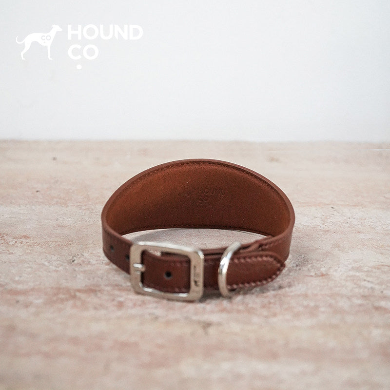 Mocha Brown Vegan Dog Collar & Walking Accessories dog product view 06