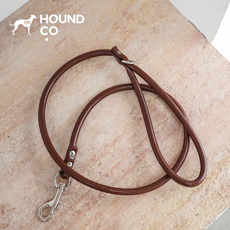 Mocha Brown Vegan Dog Collar & Walking Accessories dog product view 09