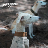 Pine Wood Brown Martingale Dog Collar dog product view 01