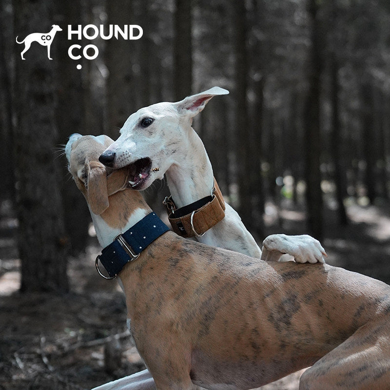 Pine Wood Brown Martingale Dog Collar dog product view 04