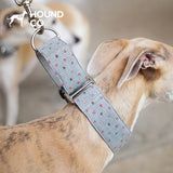 Polka Dot Martingale Dog Collar dog product view 01