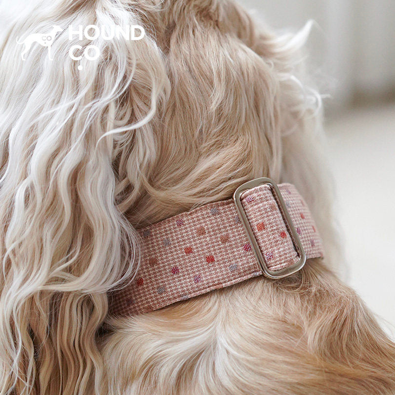 Polka Dot Martingale Dog Collar dog product view 02