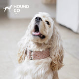 Polka Dot Martingale Dog Collar dog product view 03
