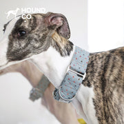 Polka Dot | Martingale Dog Collar