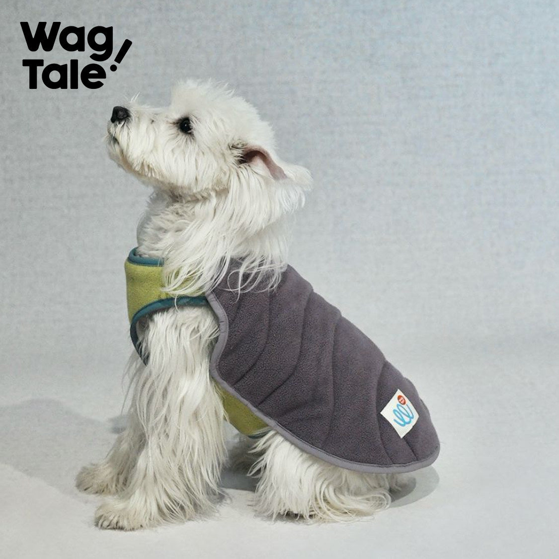 Reversible All-Weather Insulated Dog Vest, Turquoise & Purple color