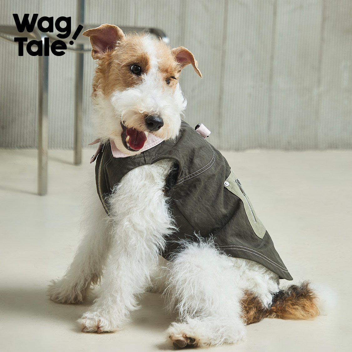Stand-Collar Utility Dog Jacket, Green Vine & Rose color