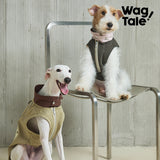 Stand-Collar Utility Dog Jacket, product photo