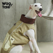 Trailblazer Field Jacket | Stand-Collar Utility Dog Jacket