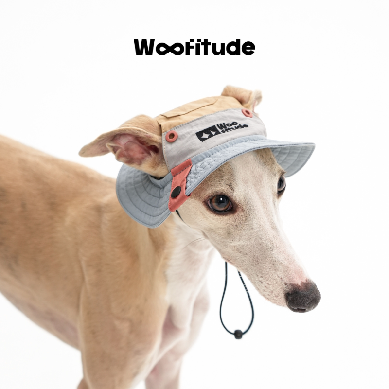 Textured Dog Bucket Hat, product photo