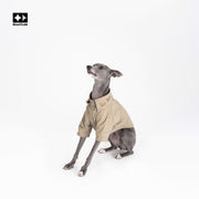 Gridline Check | Textured Grid Dog Shirt