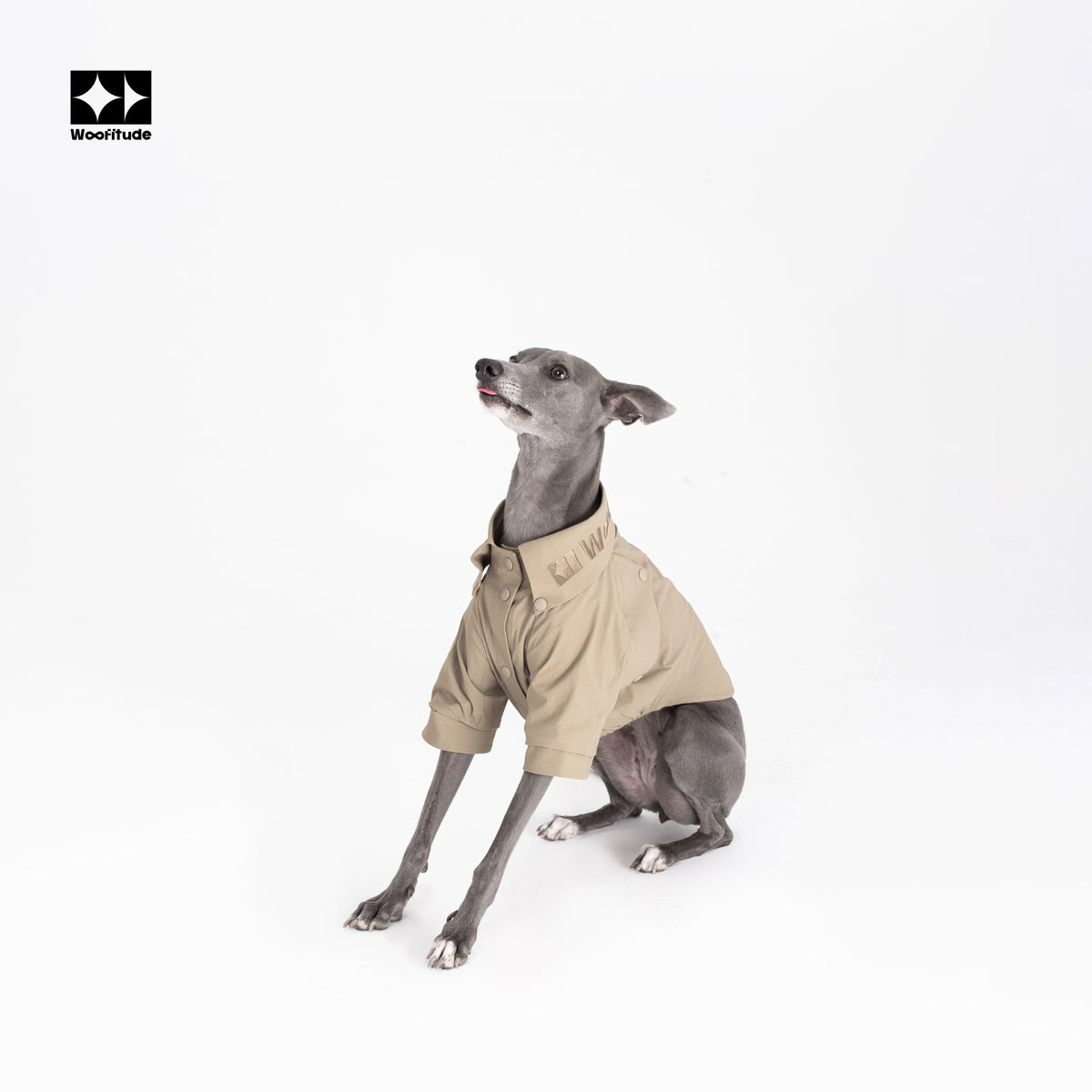 Gridline Check | Textured Grid Dog Shirt
