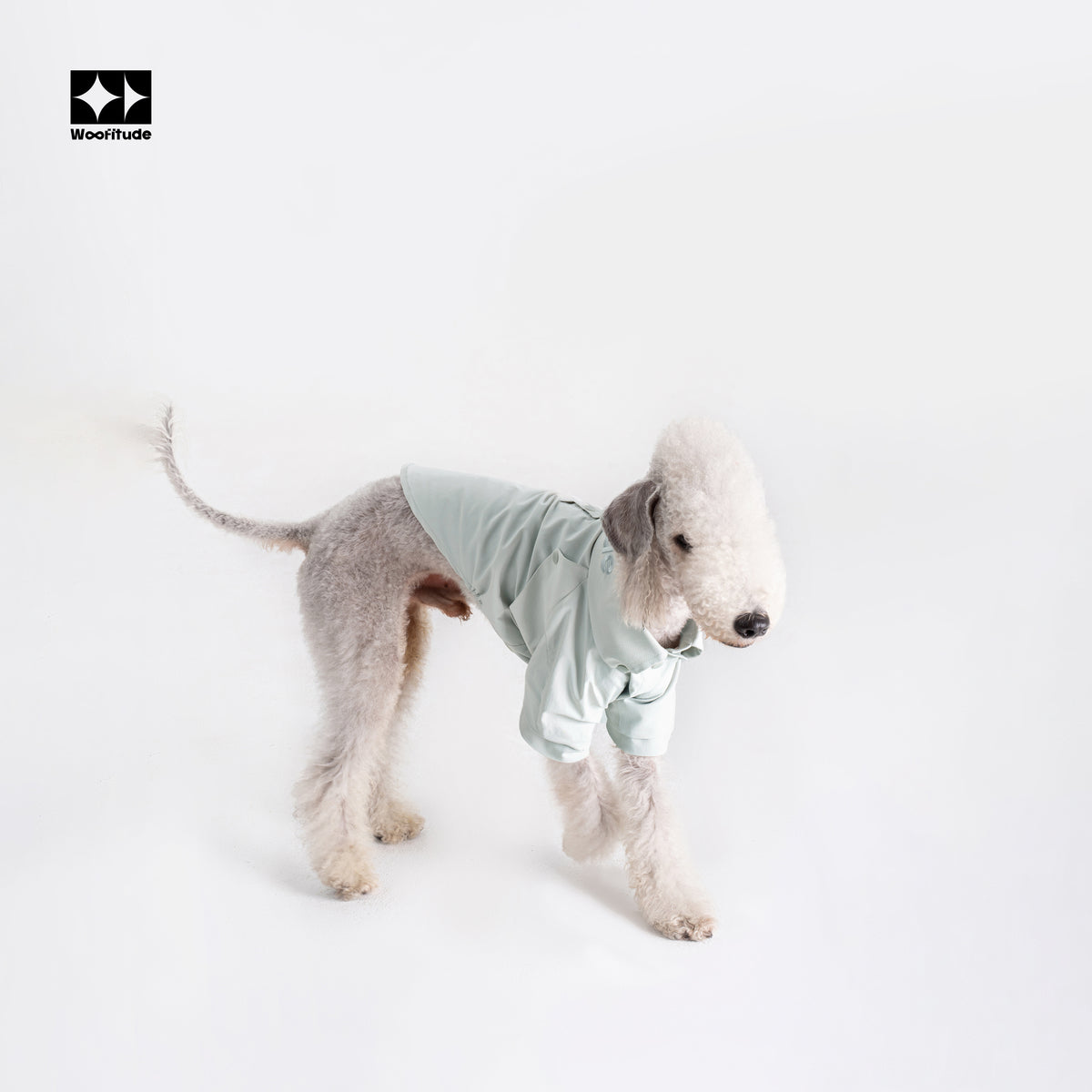 Textured Grid Dog Shirt variant image 2