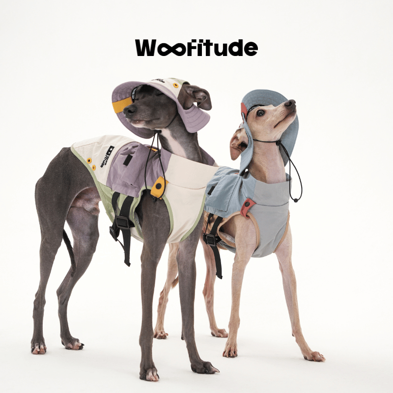 Textured Utility Dog Vest, product photo