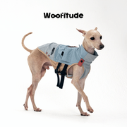 Trail Utility Grid | Textured Dog Vest