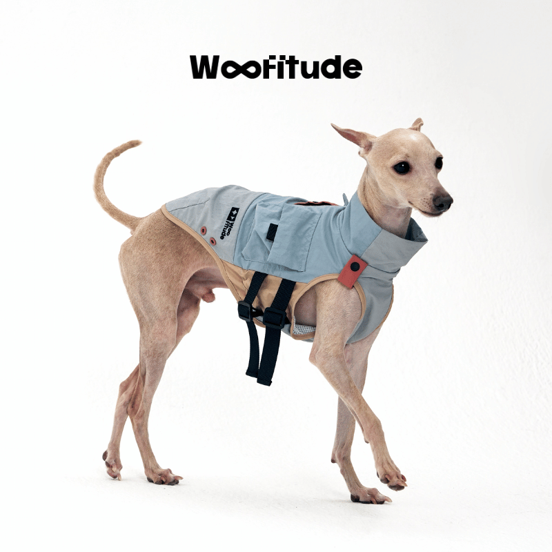 Trail Utility Grid | Textured Dog Vest