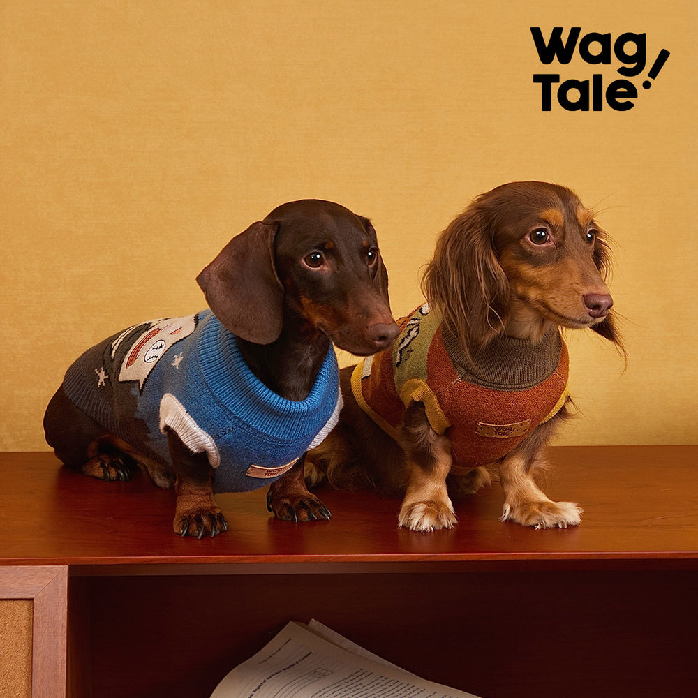 Treasure Color-Block Dog Sweater, product photo