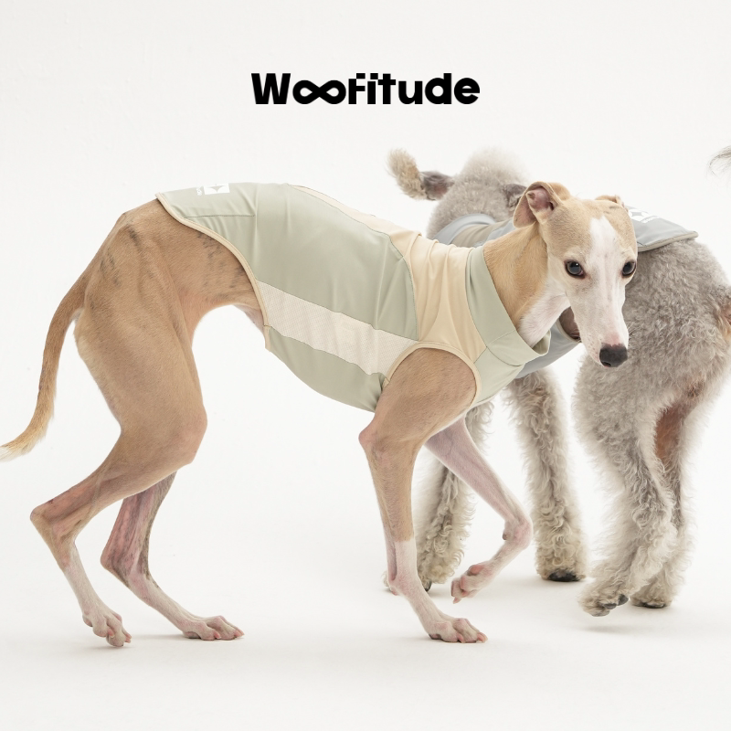 UPF50+ Cooling Dog Shirt, product photo