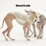 UPF50+ Cooling Dog Shirt, product photo