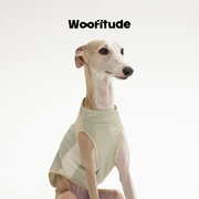 Cloudcool Sunshield | UPF 50+ Cooling Dog Shirt