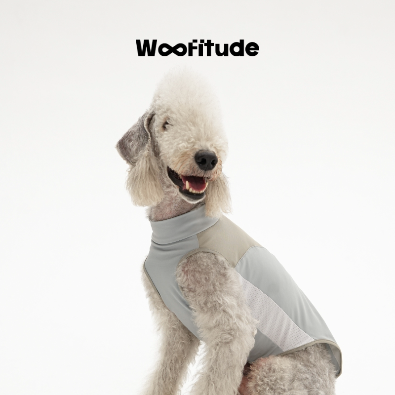 UPF50+ Cooling Dog Shirt, Blue-Gray color
