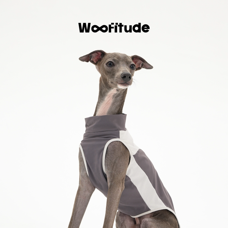 UPF50+ Cooling Dog Shirt, Purple-Gray color