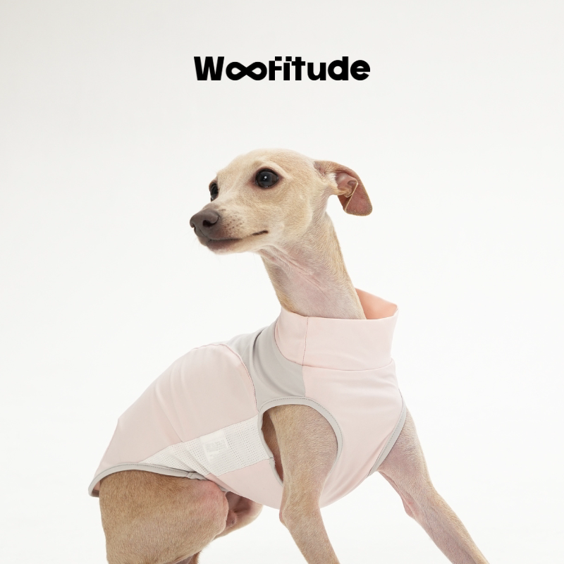 UPF50+ Cooling Dog Shirt, Pink-White color