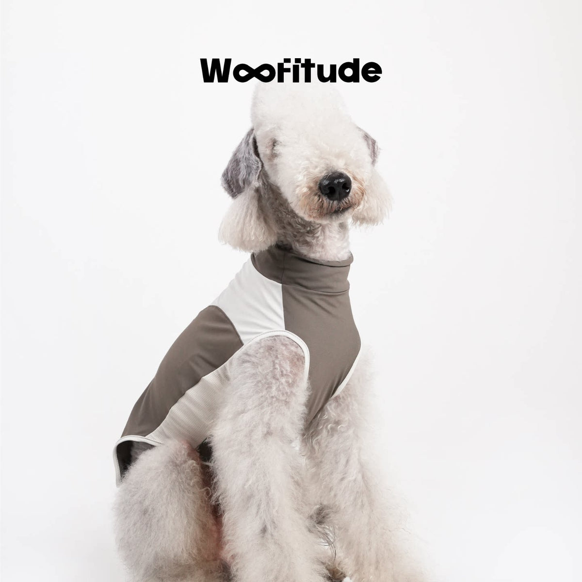 UPF50+ Cooling Dog Shirt variant image 5