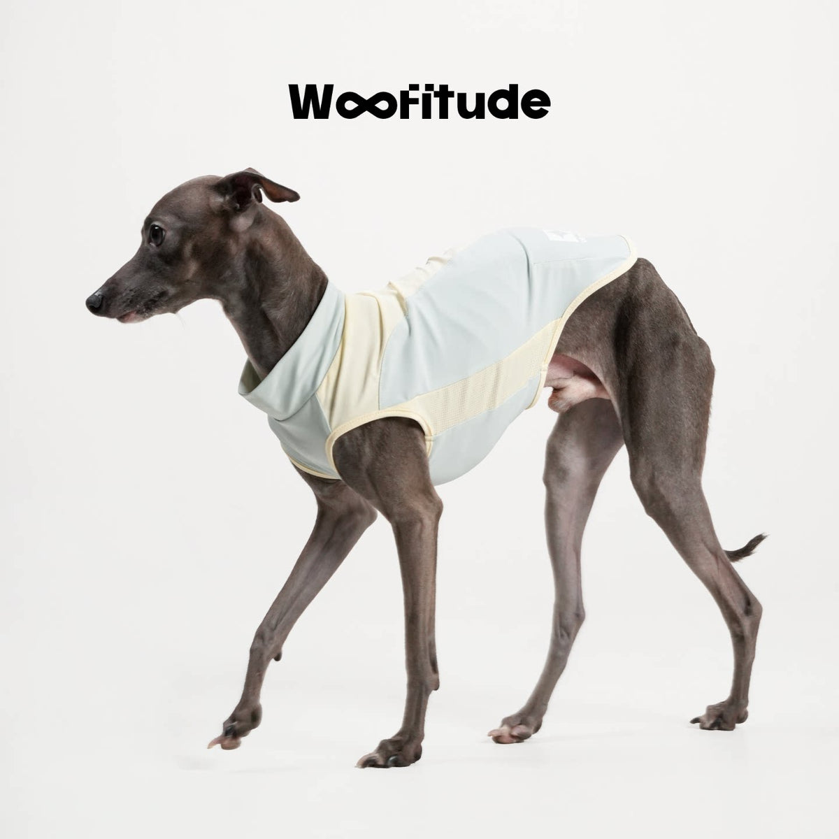 UPF50+ Cooling Dog Shirt, Glacier Blue color