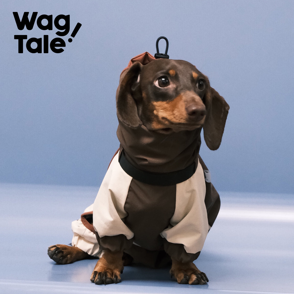 Waterproof Utility Dog Rain Suit, Coffee Maillard color