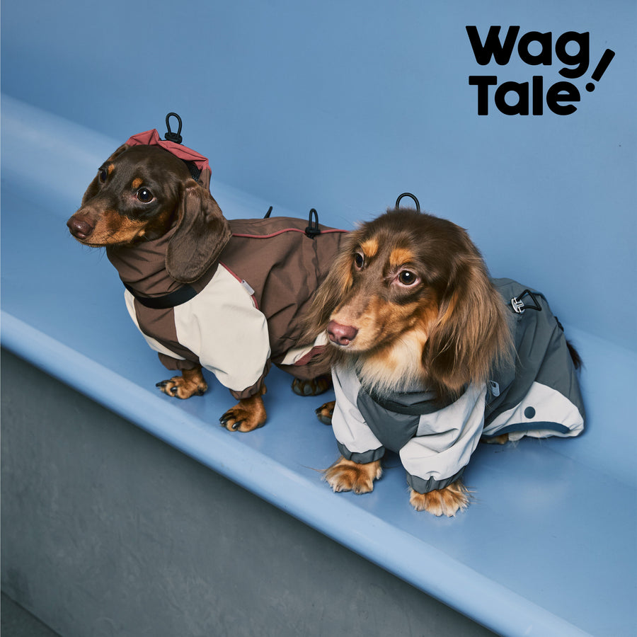 Waterproof Utility Dog Rain Suit, product photo