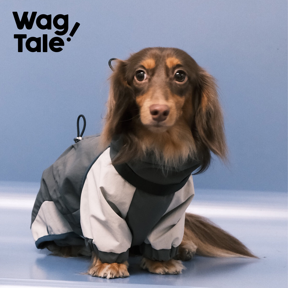 Waterproof Utility Dog Rain Suit, Retro Space Silver color