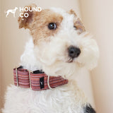 Yarn-Dyed Striped Martingale Dog Collar dog product view 01
