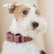 Woven Stripe | Yarn-Dyed Martingale Dog Collar
